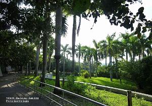 Kaohsiung 022